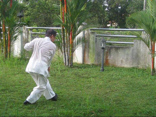 64 Palms of Baguazhang