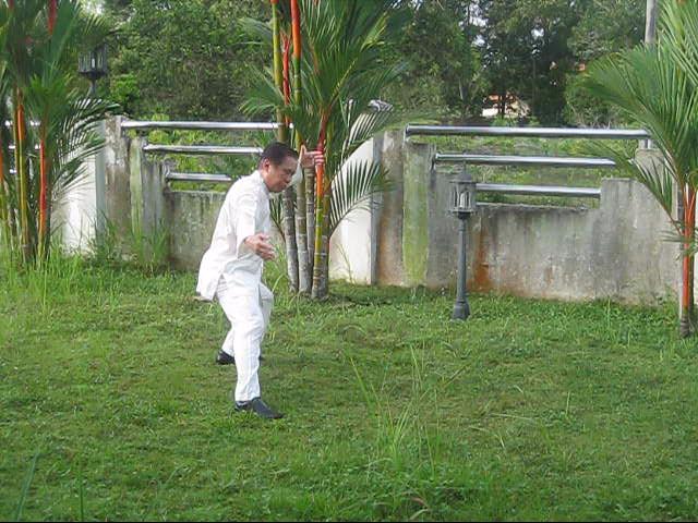 64 Palms of Baguazhang