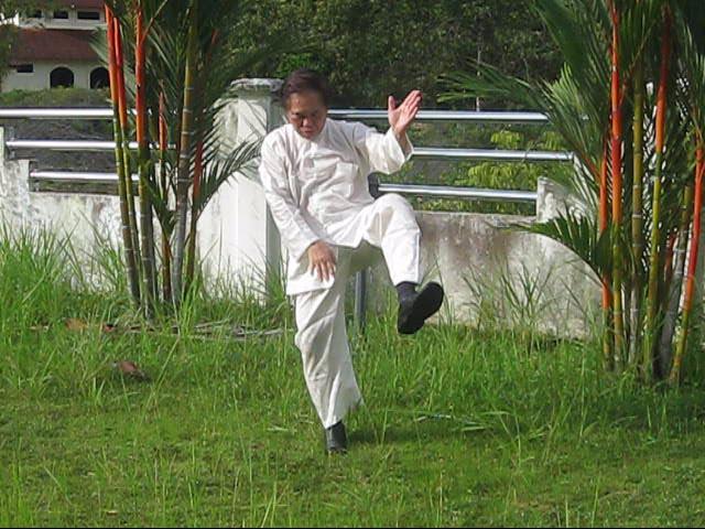 64 Palms of Baguazhang