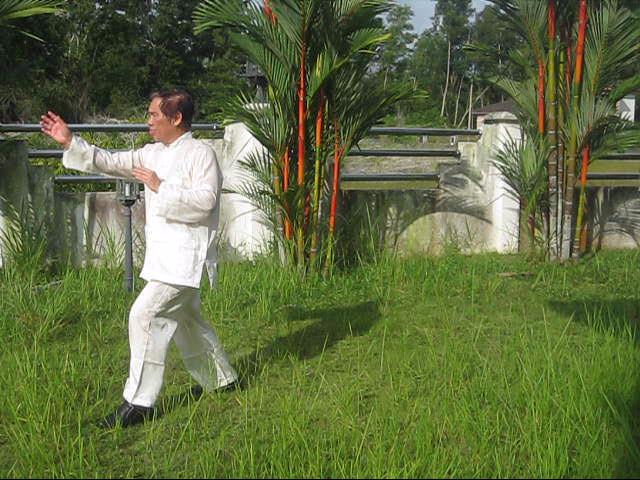 64 Palms of Baguazhang