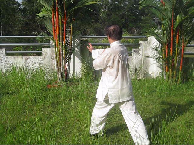 64 Palms of Baguazhang