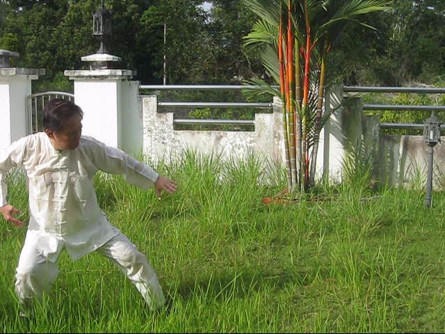 64 Palms of Baguazhang