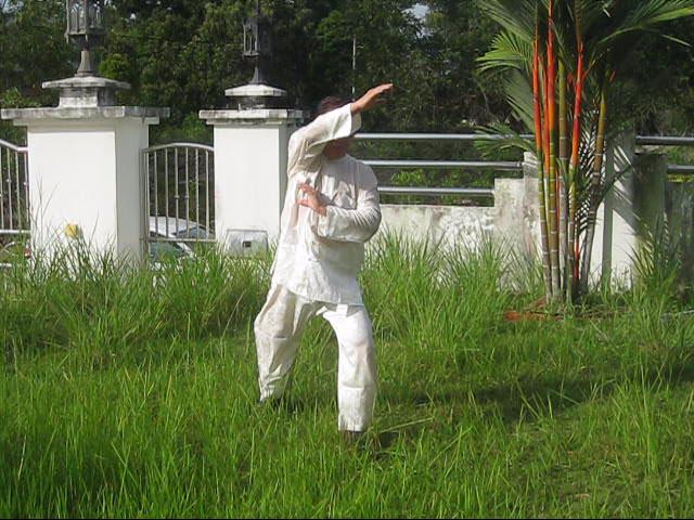 64 Palms of Baguazhang