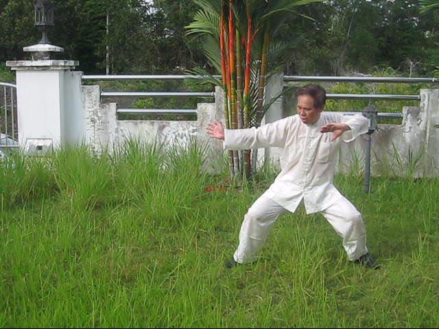 64 Palms of Baguazhang