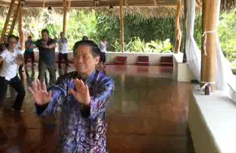 Taijiquan, Tai Chi Chuan