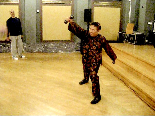 Choy-Li-Fatt Kungfu, Choy Lei Fut