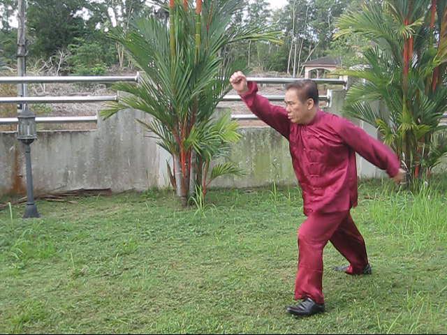 Choy-Li-Fatt Kungfu