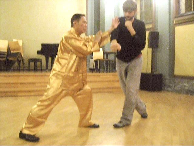 Shaolin Tai Chi Chuan