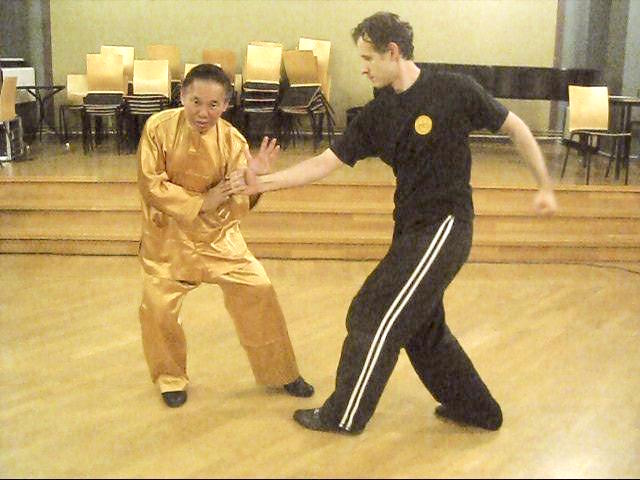 Shaolin Tai Chi Chuan