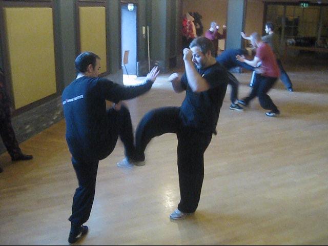 Shaolin Tai Chi Chuan