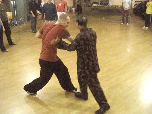 Shaolin Tai Chi Chuan