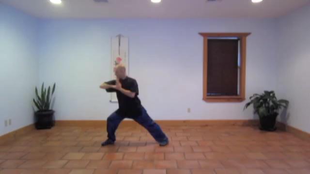 24-Pattern Taijiquan Set