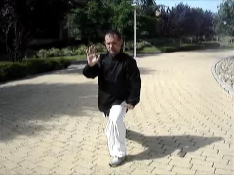 24-Pattern Simplified Taijiquan Set