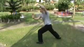 24-Pattern Taijiquan Set