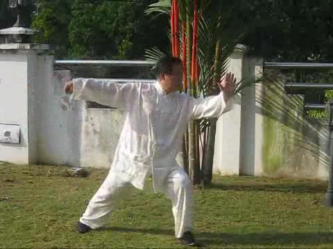 Yang Style Taijiquan