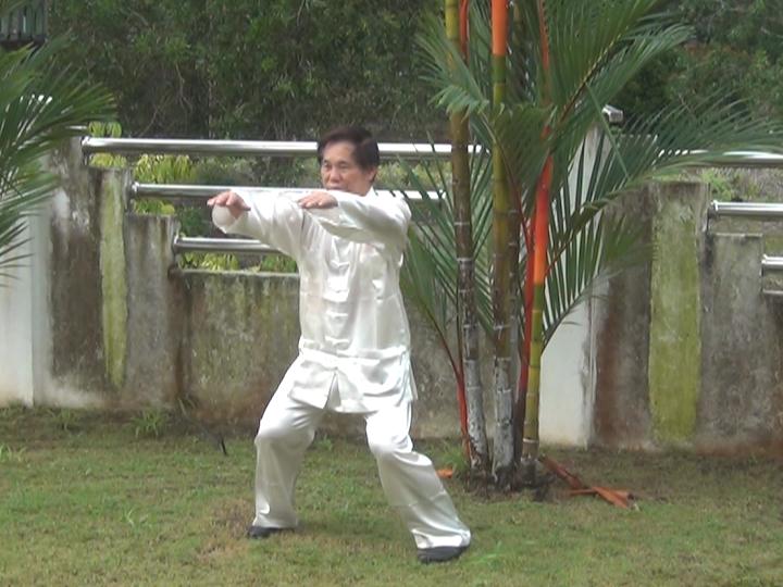 Yang Style Taijiquan, Tai Chi Chuan