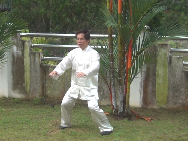 Yang Style Taijiquan, Tai Chi Chuan