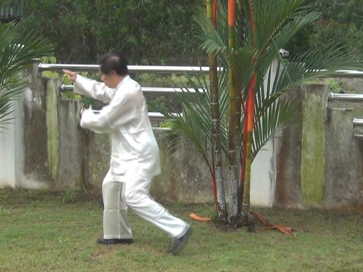 Yang Style Taijiquan, Tai Chi Chuan