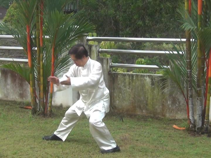 Yang Style Taijiquan