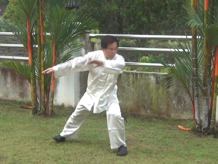 Yang Style Taijiquan, Tai Chi Chuan