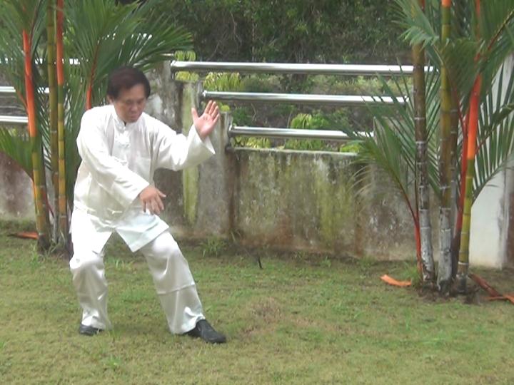 Yang Style Taijiquan, Tai Chi Chuan