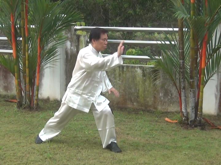 Yang Style Taijiquan