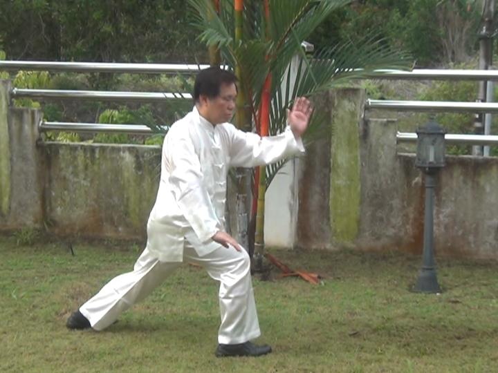 Yang Style Taijiquan