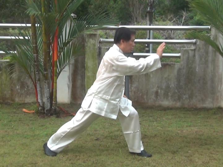 Yang Style Taijiquan, Tai Chi Chuan