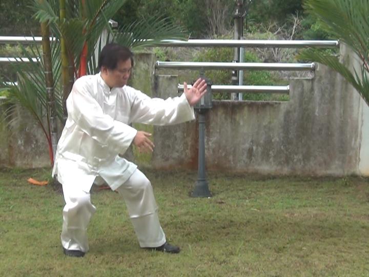 Yang Style Taijiquan, Tai Chi Chuan