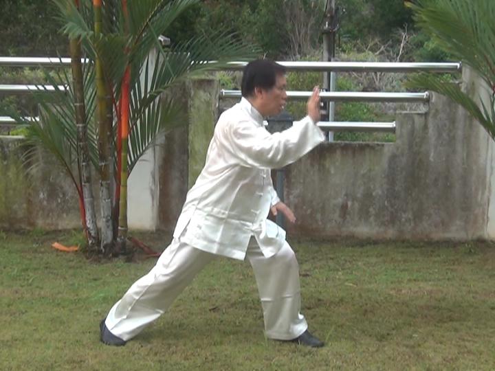 Yang Style Taijiquan, Tai Chi Chuan