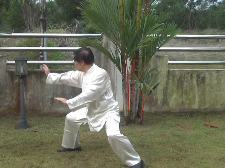 Yang Style Taijiquan, Tai Chi Chuan