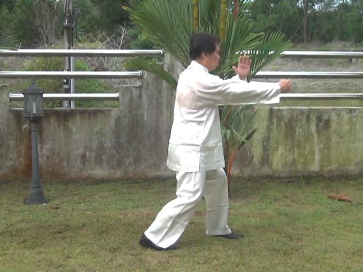 Yang Style Taijiquan, Tai Chi Chuan