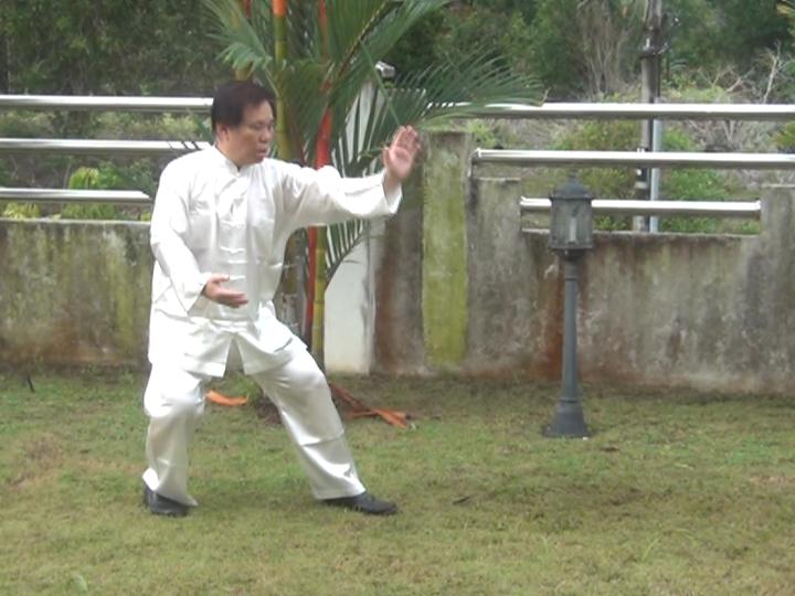 Yang Style Taijiquan, Tai Chi Chuan