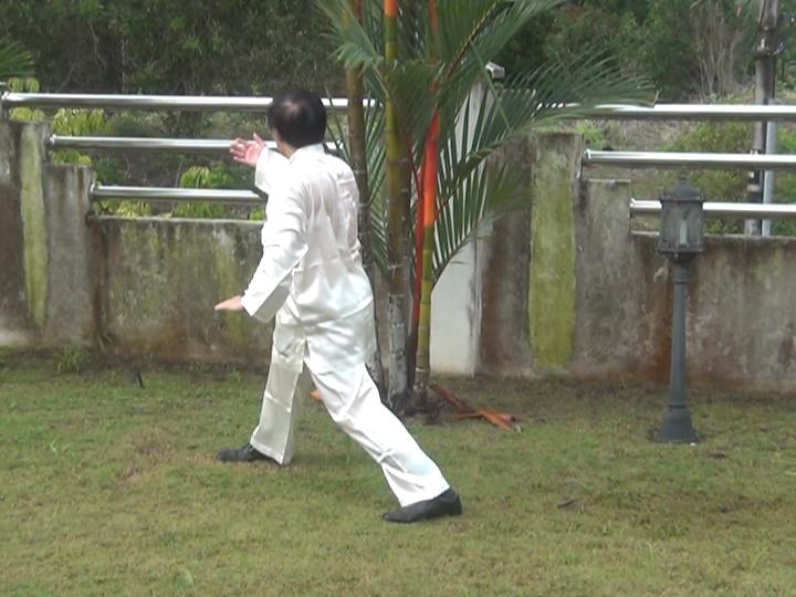 Yang Style Taijiquan, Tai Chi Chuan