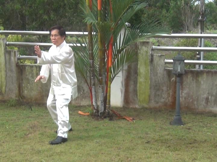 Yang Style Taijiquan, Tai Chi Chuan