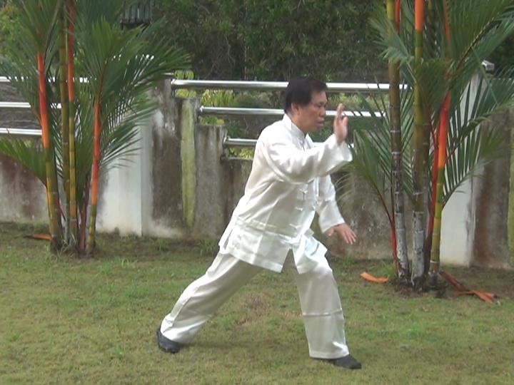 Yang Style Taijiquan