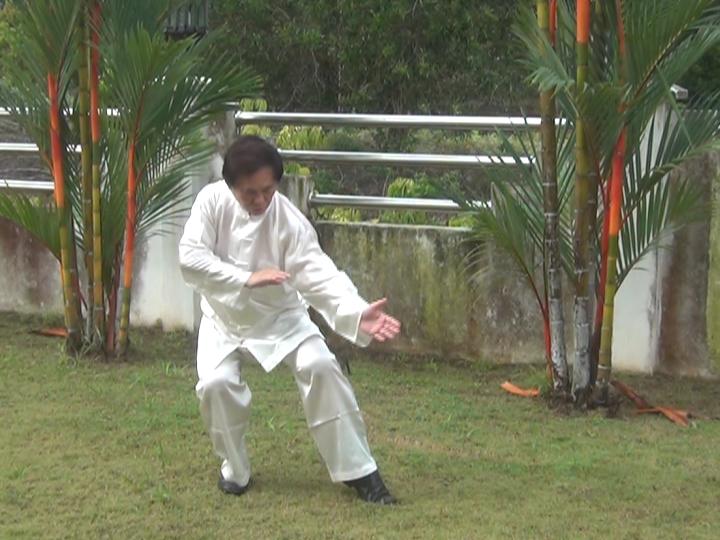 Yang Style Taijiquan, Tai Chi Chuan