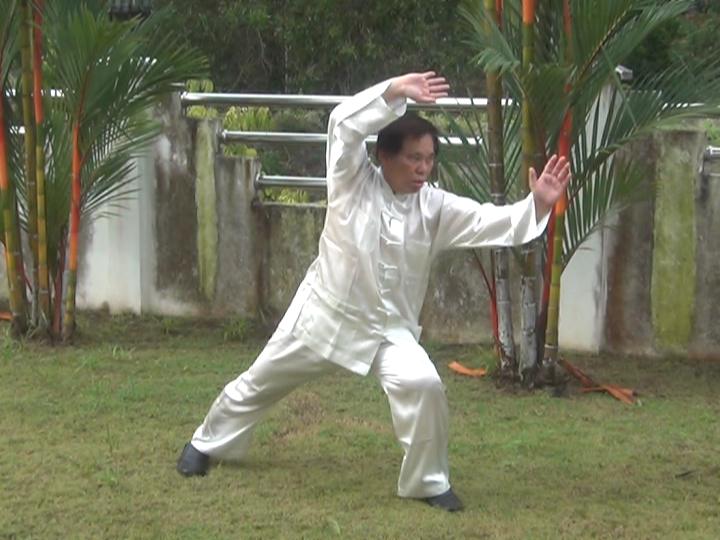 Yang Style Taijiquan, Tai Chi Chuan