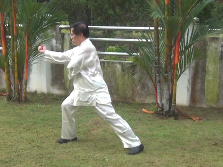 Yang Style Taijiquan, Tai Chi Chuan