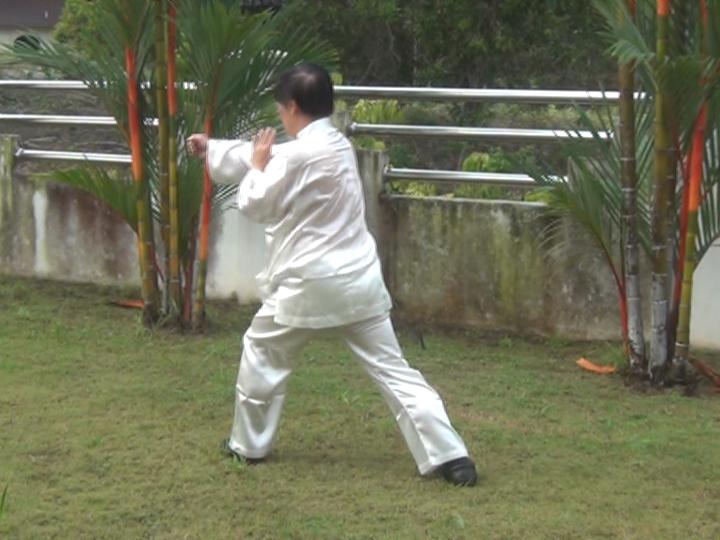 Yang Style Taijiquan, Tai Chi Chuan