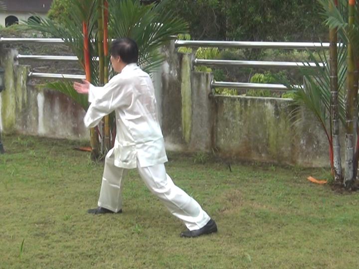 Yang Style Taijiquan