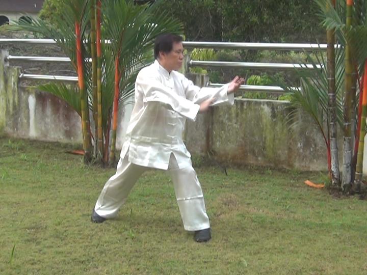 Yang Style Taijiquan