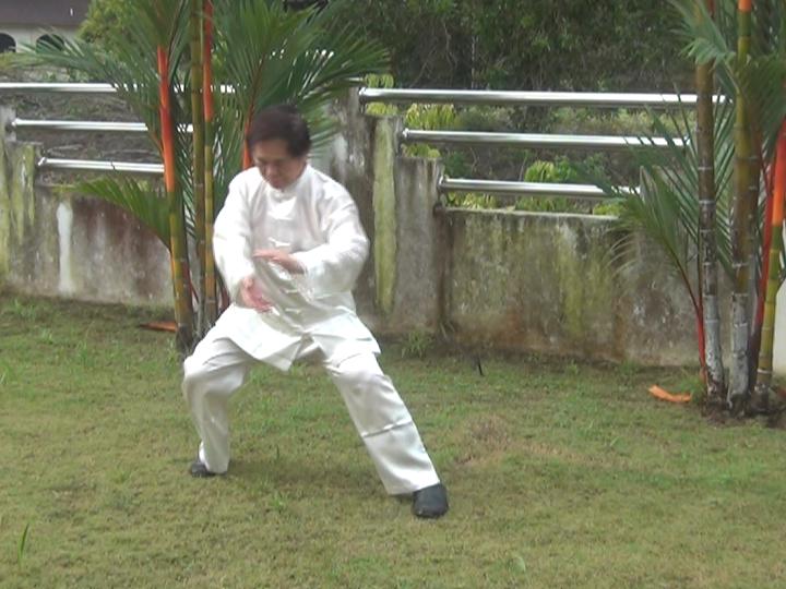 Yang Style Taijiquan, Tai Chi Chuan