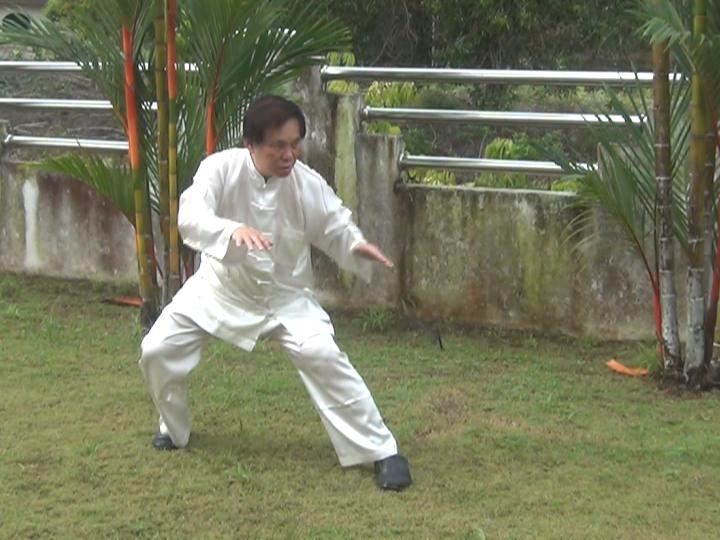 Yang Style Taijiquan, Tai Chi Chuan