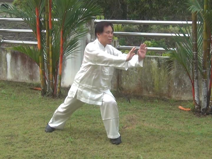 Yang Style Taijiquan, Tai Chi Chuan