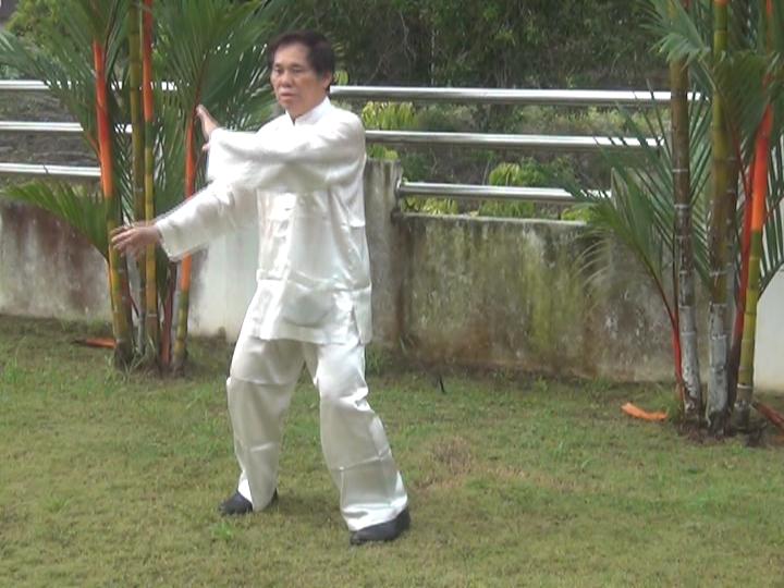 Yang Style Taijiquan, Tai Chi Chuan