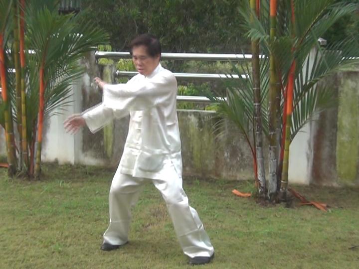 Yang Style Taijiquan, Tai Chi Chuan