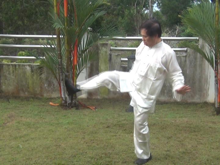 Yang Style Taijiquan, Tai Chi Chuan