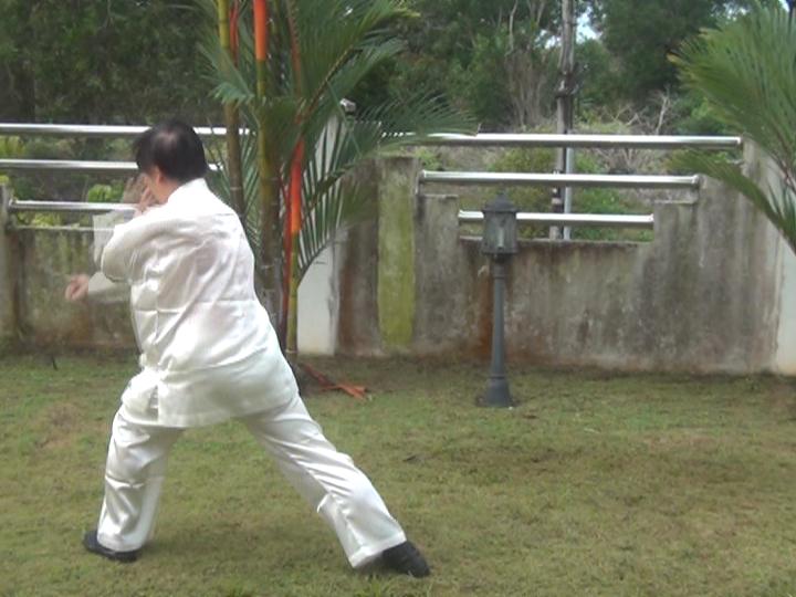 Yang Style Taijiquan, Tai Chi Chuan