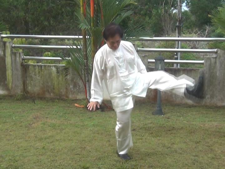 Yang Style Taijiquan, Tai Chi Chuan